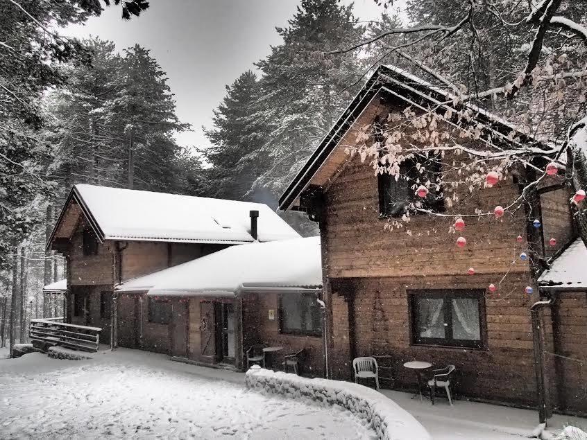 Chalet Clan Dei Ragazzi Hotel Linguaglossa Luaran gambar