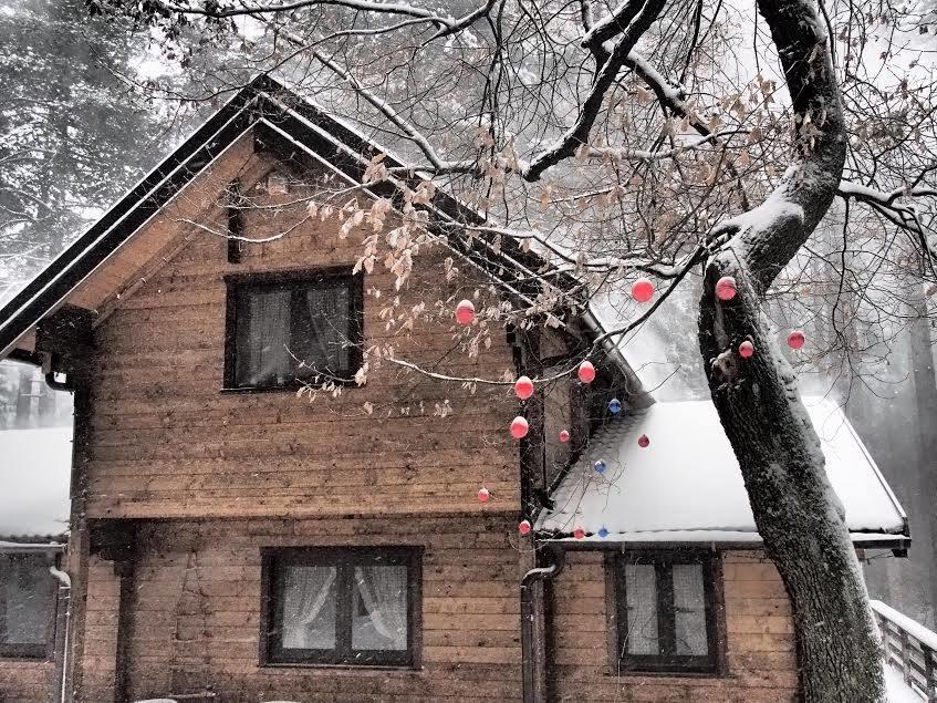 Chalet Clan Dei Ragazzi Hotel Linguaglossa Luaran gambar