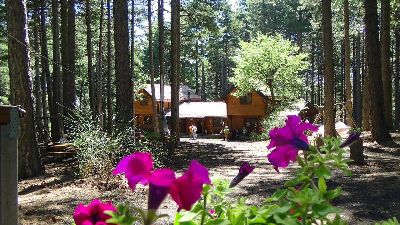 Chalet Clan Dei Ragazzi Hotel Linguaglossa Luaran gambar